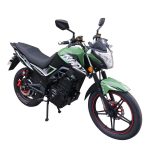MOTOCICLETA ELÉCTRICA MISHOZUKI COYOTE2 LT PO4 40AH