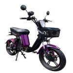 BICI MOTO MISHOZUKI GRILLO 500W 28A